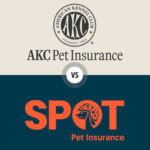 Spot Pet Insurance vs AKC Pet Insurance (2025): Which Policy is Best For You?