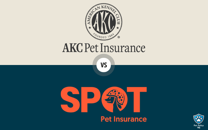 You are currently viewing Spot Pet Insurance vs AKC Pet Insurance (2025): Which Policy is Best For You?