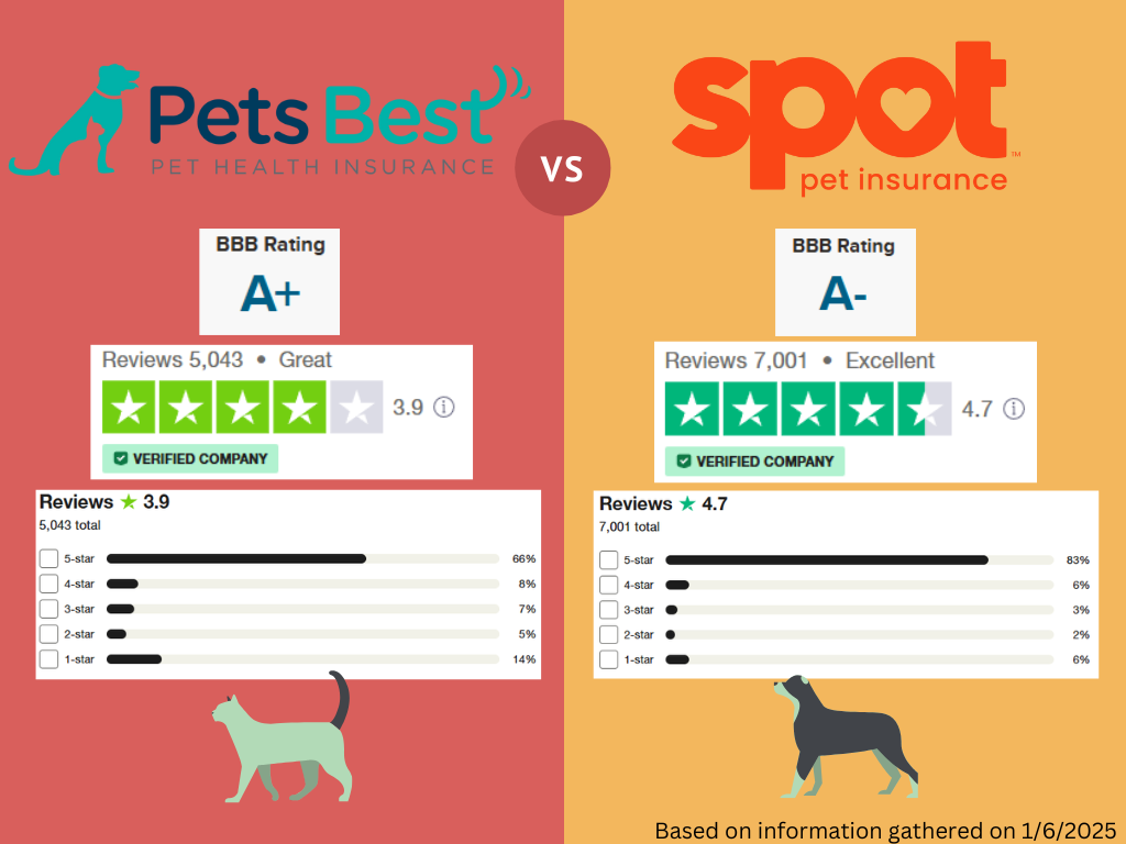 Spot Pet Insurance vs Pets Best: Review Comparison