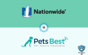 Read more about the article Nationwide Pet Insurance vs Pets Best (2025): A Comprehensive Comparison