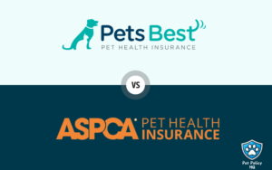 Read more about the article Pets Best vs ASPCA Insurance (2025): Which Policy is Right For You?