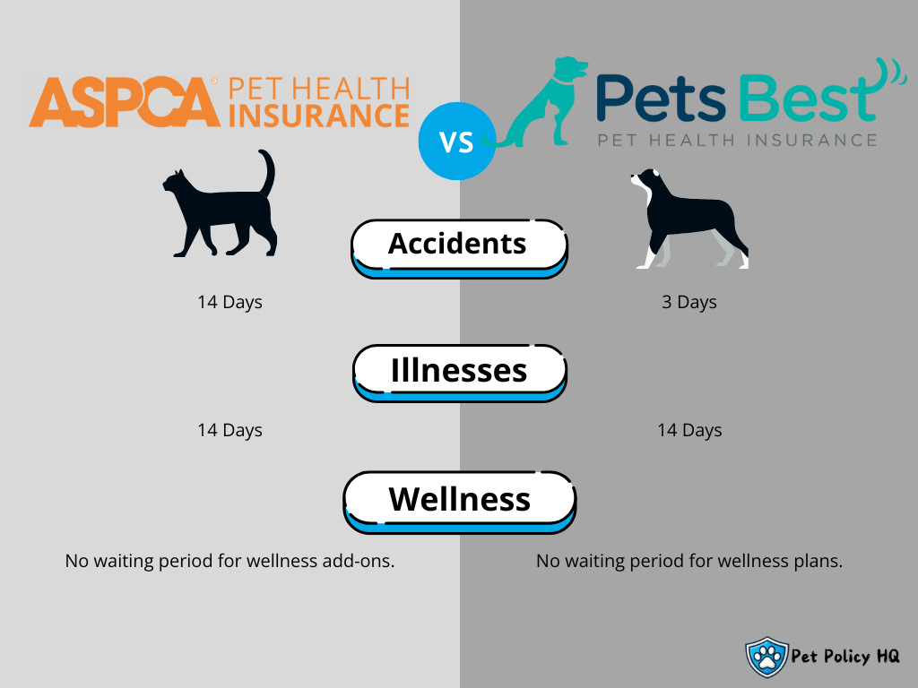 ASPCA Insurance vs Pets Best: Waiting Periods