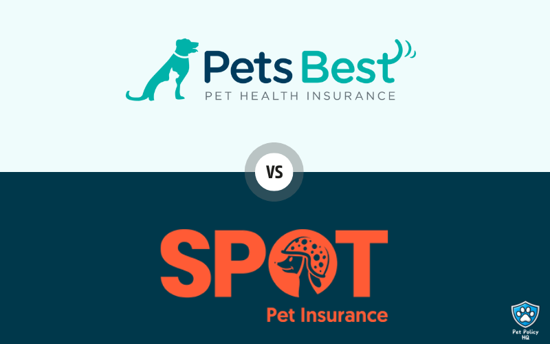 You are currently viewing Pets Best vs Spot Pet Insurance (2025): Which Policy is Right for You?