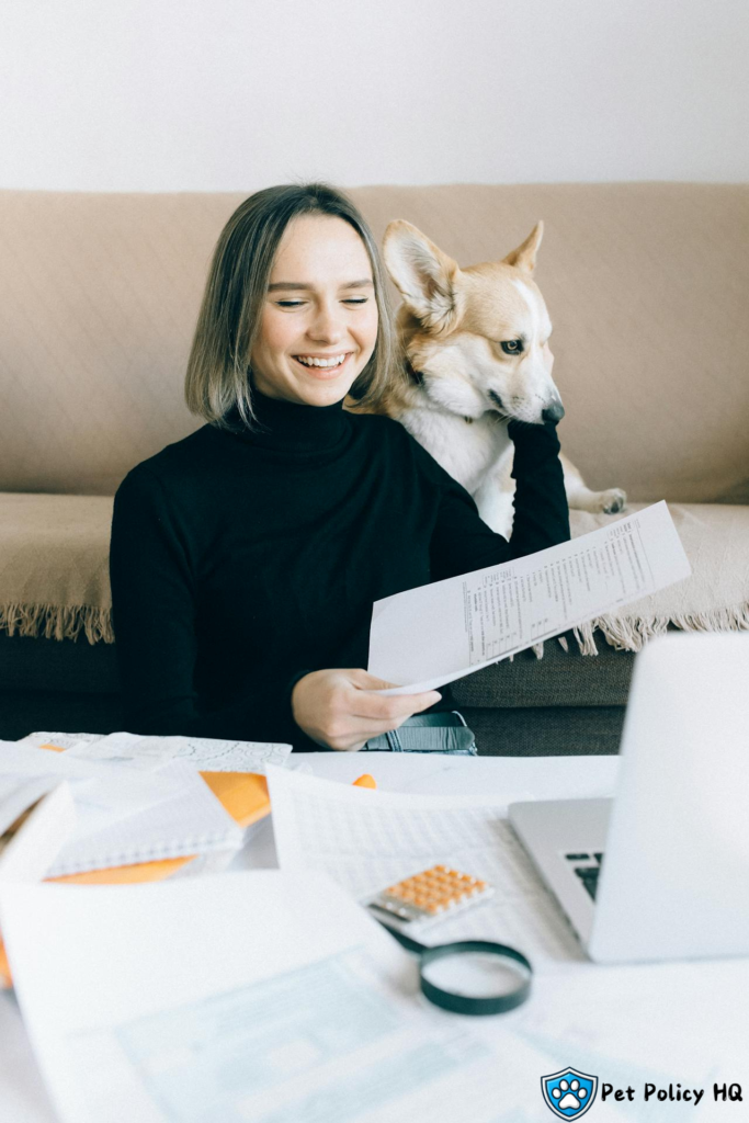 Spot Pet Insurance vs AKC Pet Insurance: Reimbursement Models
