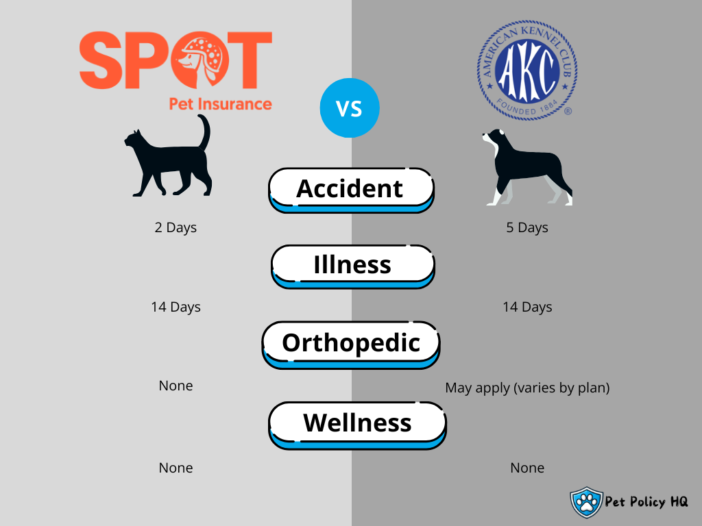 Spot Pet Insurance vs AKC Pet Insurance: Waiting Periods