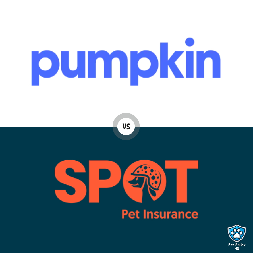 You are currently viewing Pumpkin vs Spot Pet Insurance (2025): Which Policy is Best For You?