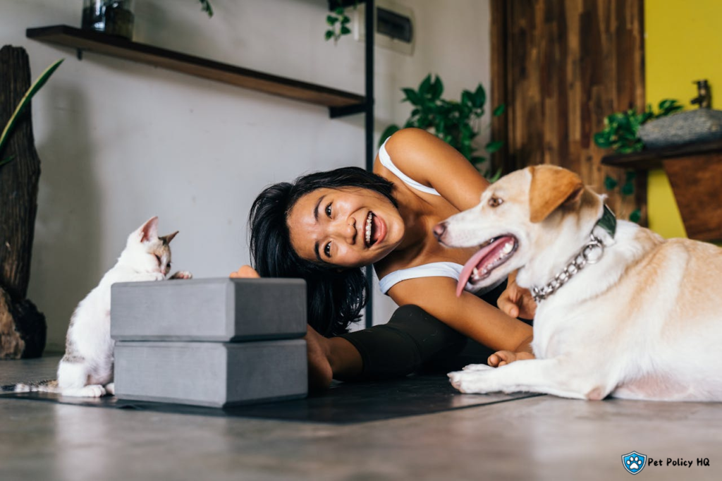 Spot Pet Insurance vs AKC Pet Insurance: Customer Reviews and Ratings