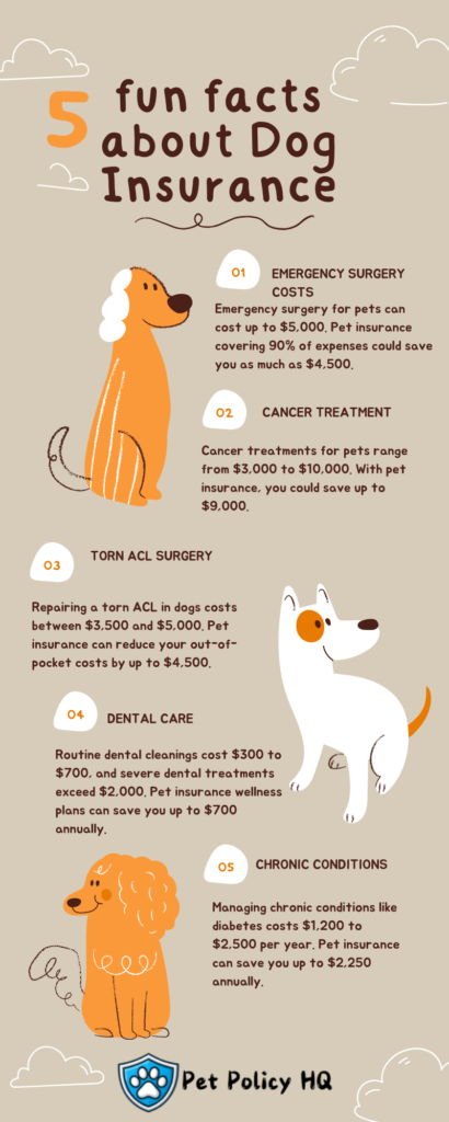 Pets Best vs Spot Pet Insurance: 5 Fun Facts about Dog Insurance