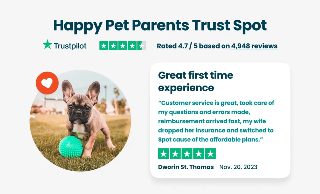 Spot Pet Insurance vs Pets Best: Trustpilot Review