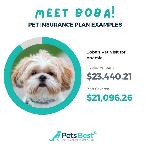 Pets Best vs Spot Pet Insurance: Pets Best Testimonial